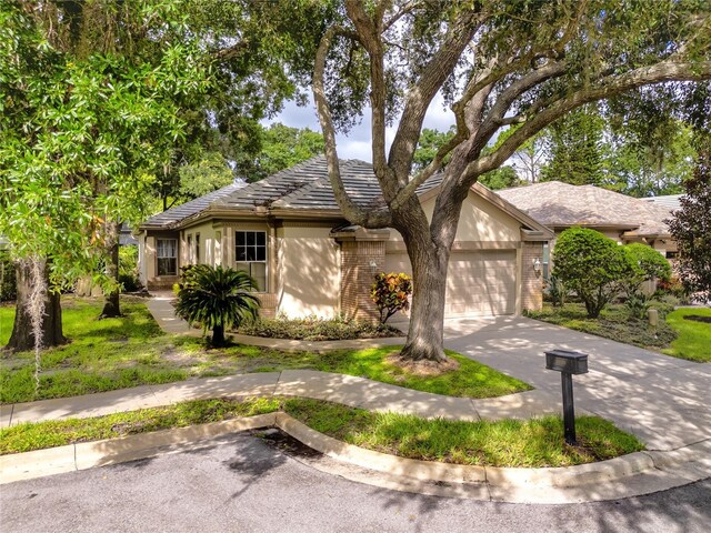 ranch-style home with a garage