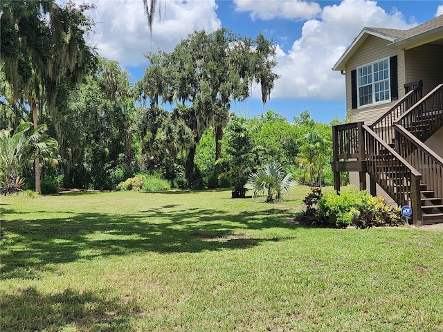 view of yard