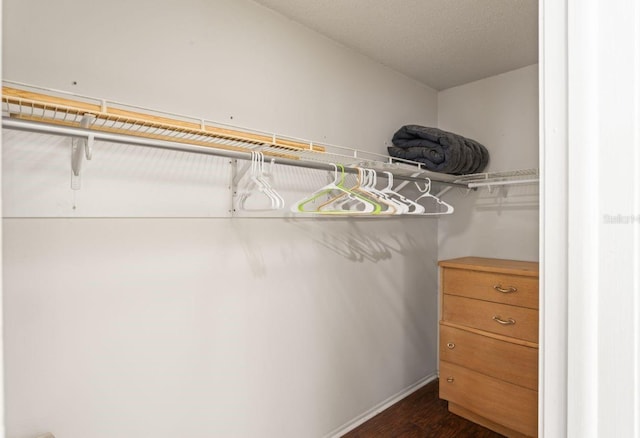 spacious closet featuring dark wood-type flooring