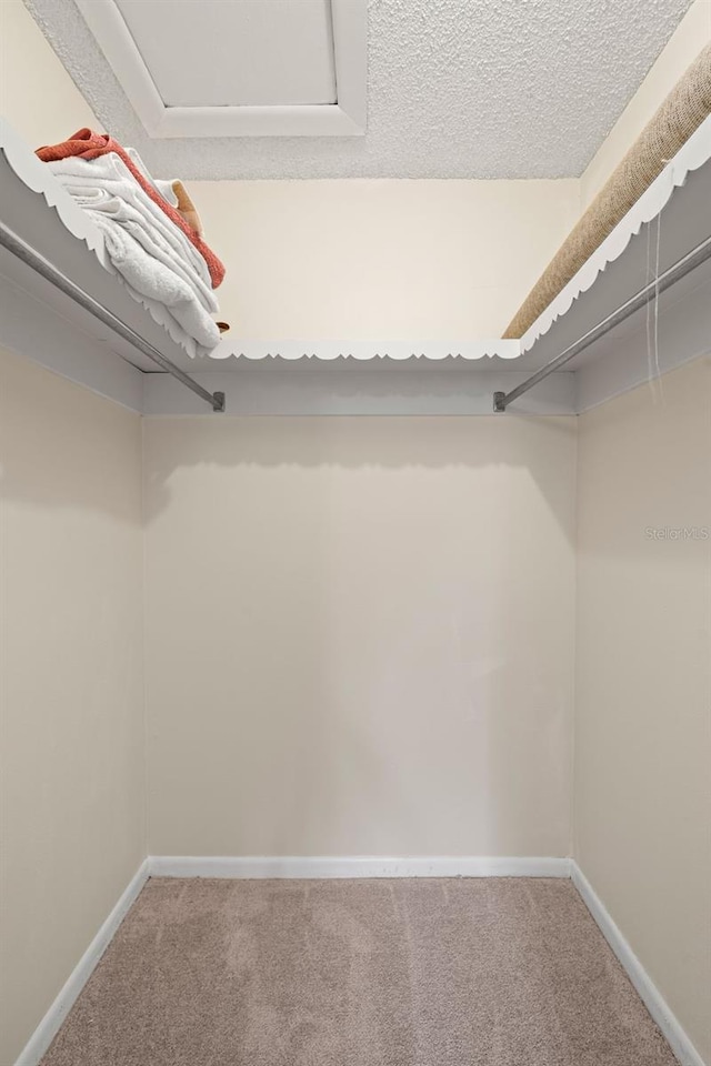 spacious closet featuring carpet floors