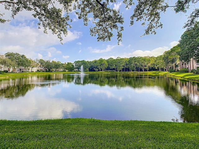 view of water feature