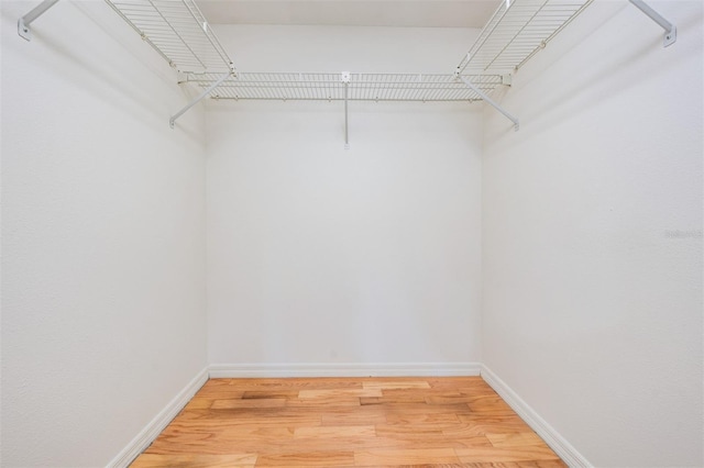 walk in closet featuring hardwood / wood-style flooring