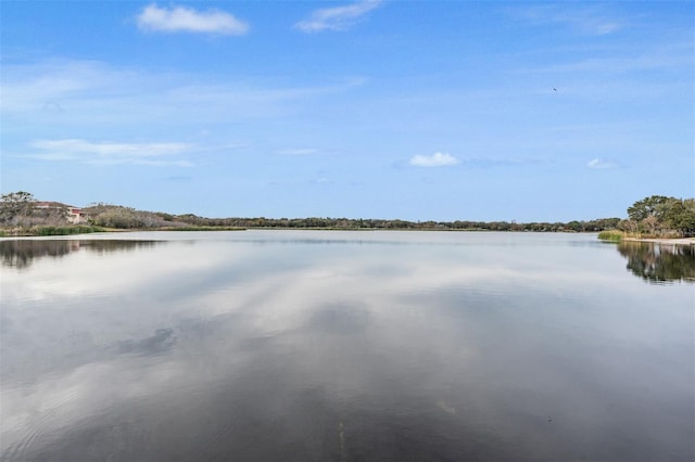 view of water feature