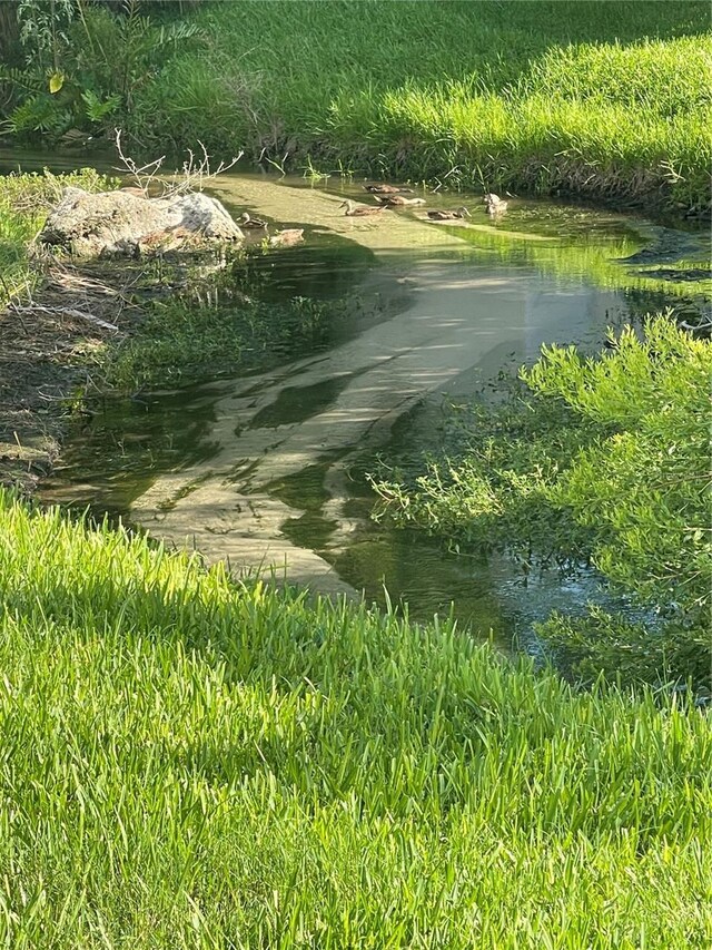 view of water feature