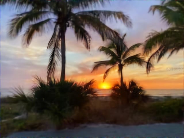 nature at dusk featuring a water view