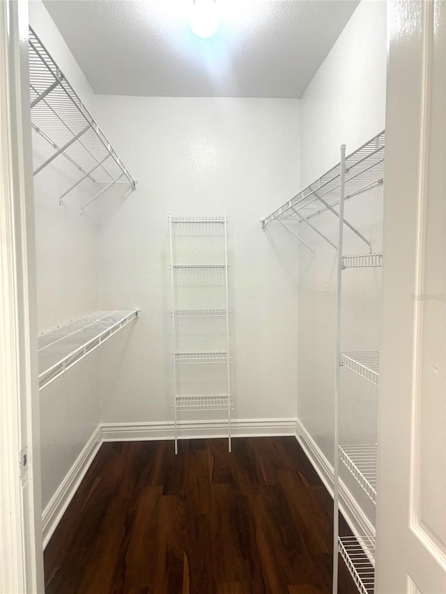 walk in closet featuring wood-type flooring