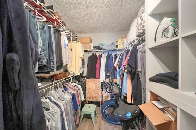 walk in closet with wood-type flooring