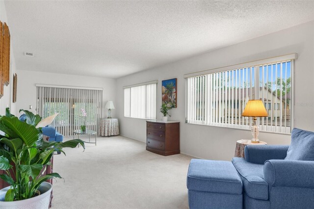 living room featuring a textured ceiling and carpet flooring