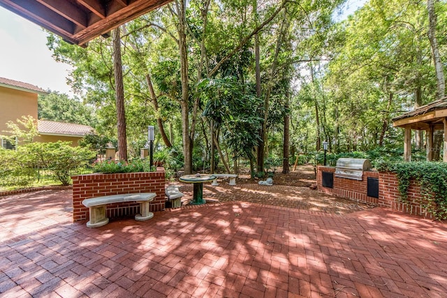 view of patio with grilling area and exterior kitchen