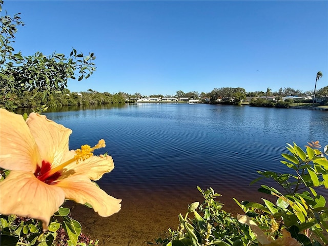 property view of water