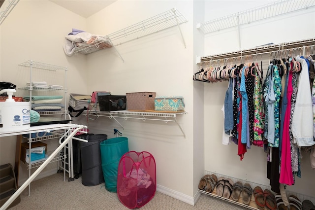 walk in closet featuring carpet flooring