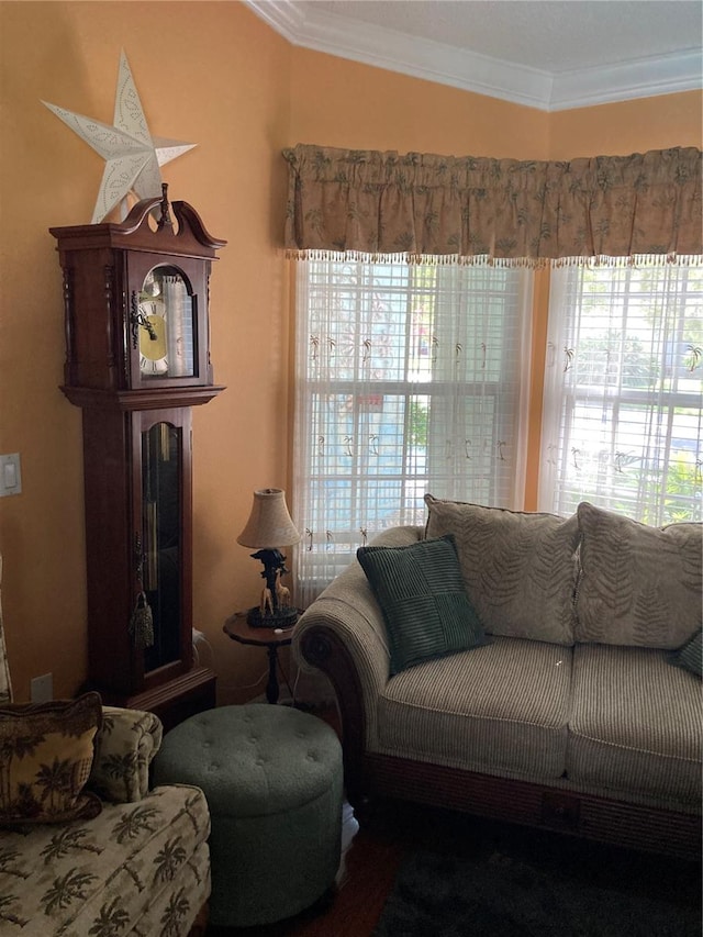 living room featuring ornamental molding