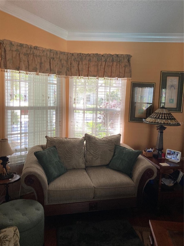 living room featuring a textured ceiling, crown molding, and a wealth of natural light