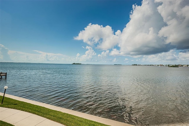 300 Woodette Dr Unit 202B, Dunedin, FL 34698 - water view
