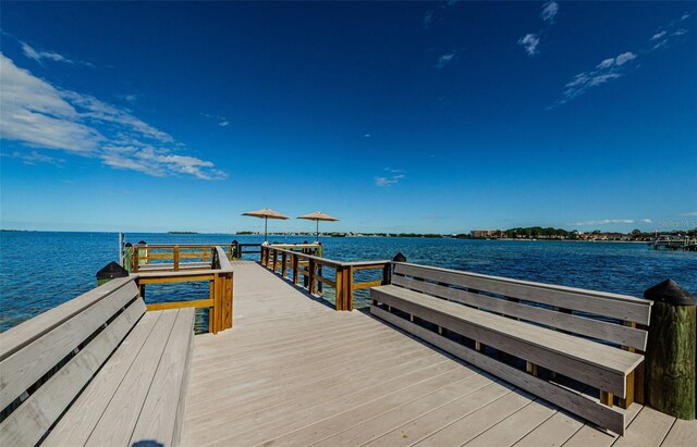 300 Woodette Dr Unit 202B, Dunedin, FL 34698 - dock area with a water view