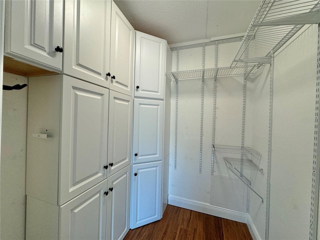 spacious closet with dark wood-type flooring