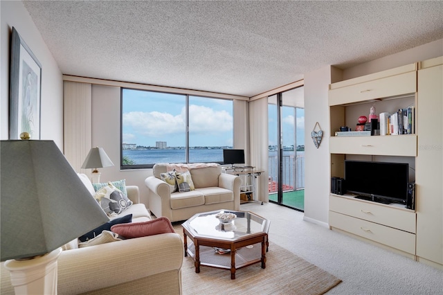 carpeted living room with a textured ceiling