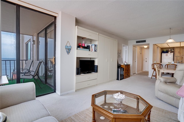 carpeted living room with a textured ceiling