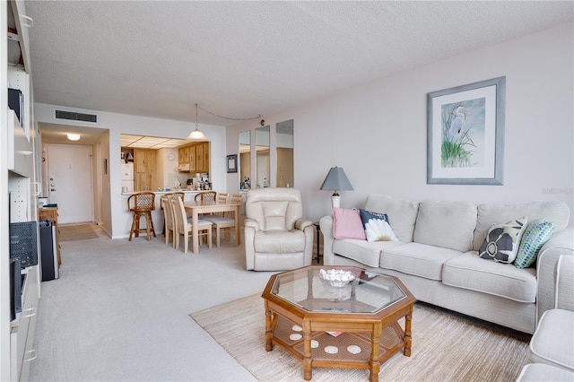 living room featuring carpet flooring and a textured ceiling