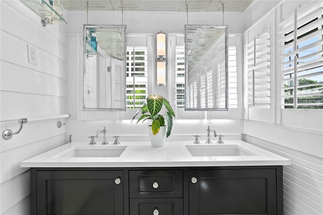 bathroom with double vanity and a healthy amount of sunlight