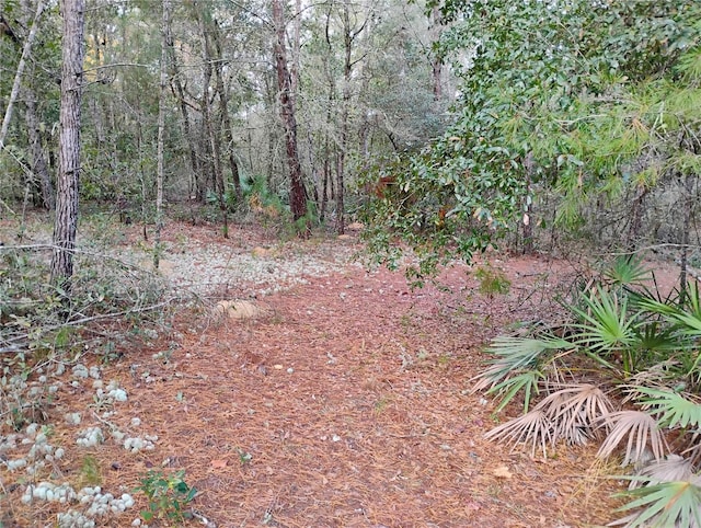 Listing photo 3 for 309 Wilson Dr, Interlachen FL 32148