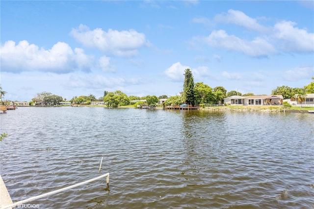 4145 Star Island Dr, Holiday, FL 34691 - photo 32
