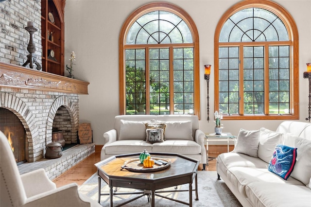 interior space featuring a fireplace, light hardwood / wood-style flooring, and a healthy amount of sunlight