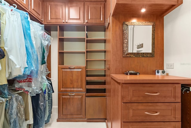 view of spacious closet