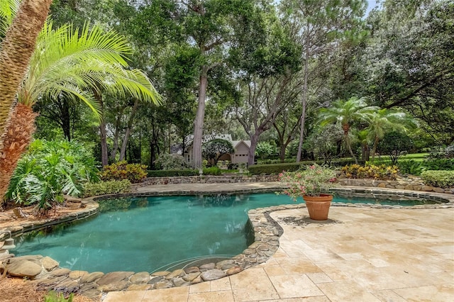 2901 Leprechaun Ln, Palm Harbor, FL 34683 - outdoor pool with a patio