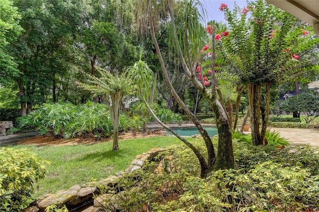 2901 Leprechaun Ln, Palm Harbor, FL 34683 - surrounding community with a pool