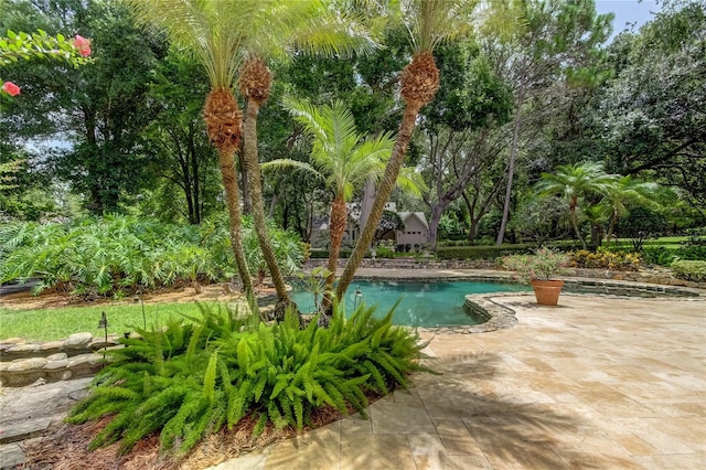 view of pool featuring a patio