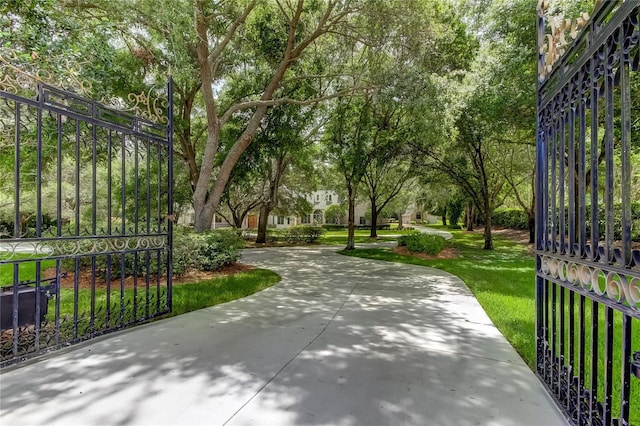 2901 Leprechaun Ln, Palm Harbor, FL 34683 - view of community with a lawn