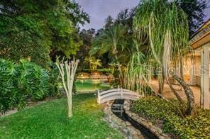 2901 Leprechaun Ln, Palm Harbor, FL 34683 - view of yard