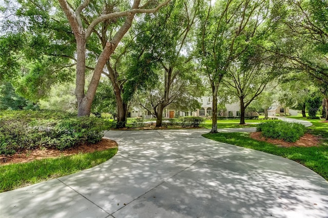 2901 Leprechaun Ln, Palm Harbor, FL 34683 - view of community