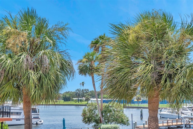 view of water feature featuring a dock