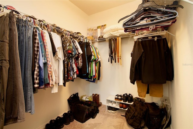 spacious closet with carpet