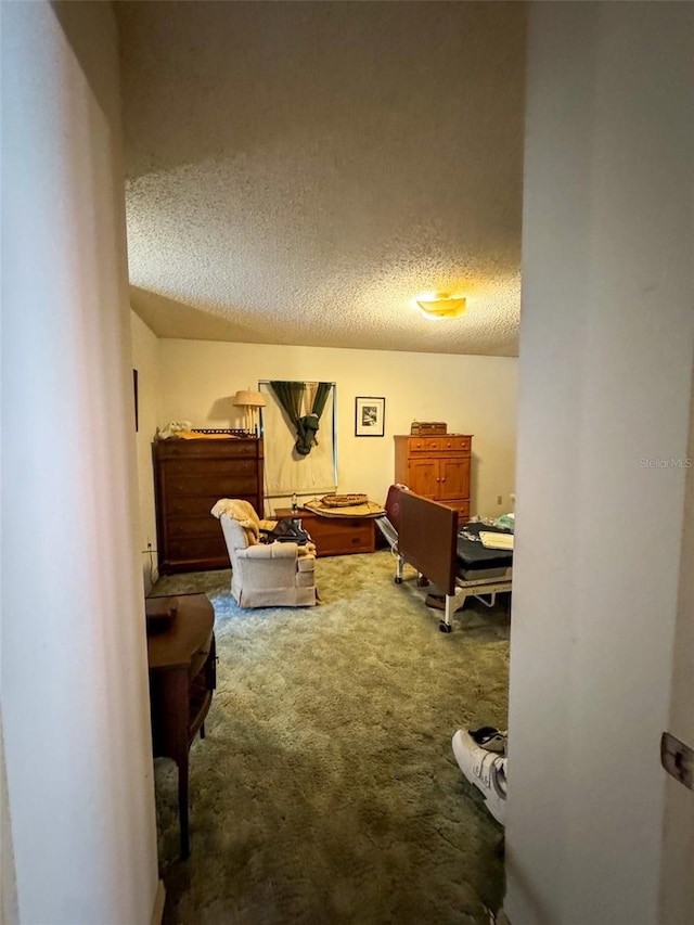 living room with a textured ceiling and carpet flooring