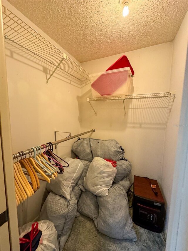 walk in closet with carpet