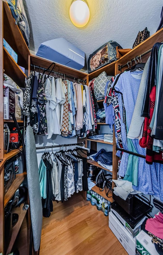 walk in closet with hardwood / wood-style flooring