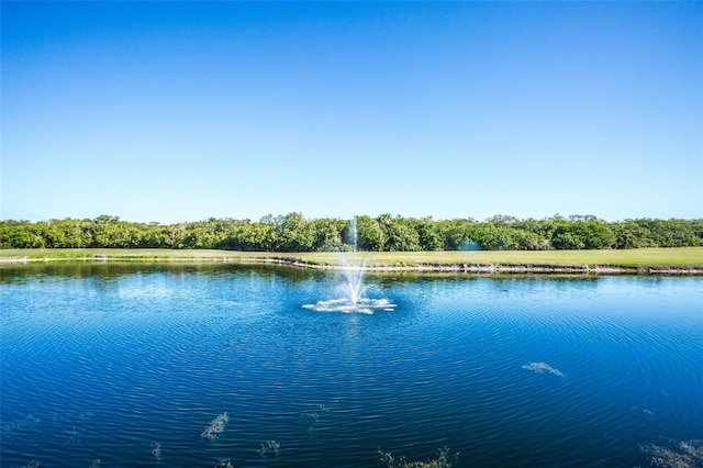 view of water feature
