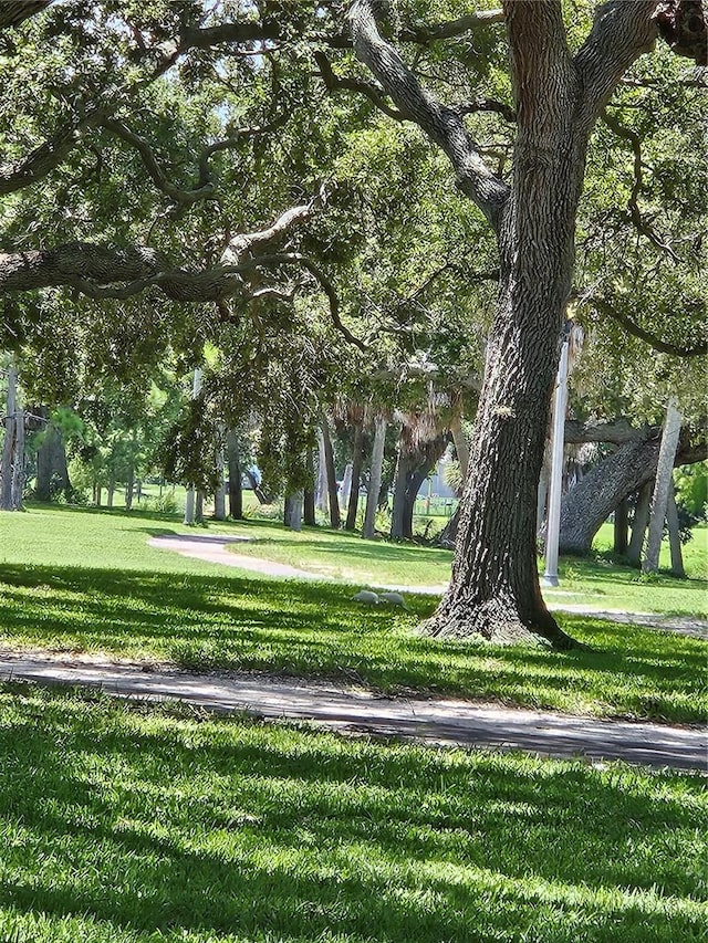 view of community featuring a yard