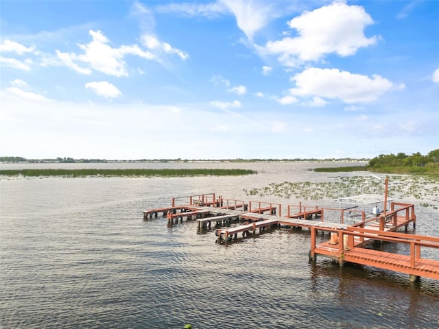 dock area featuring a water view