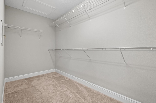 walk in closet with carpet floors and attic access