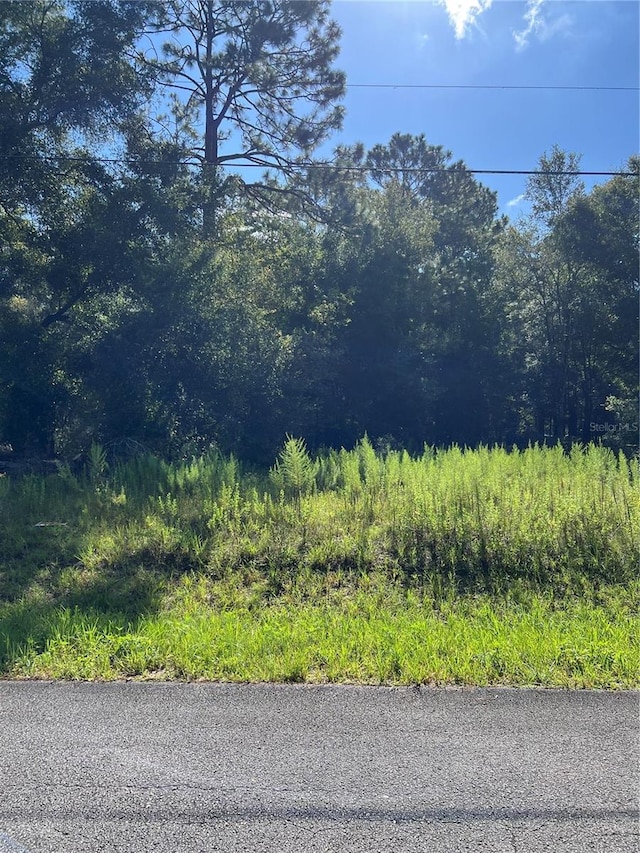 SW 201st Ave, Dunnellon FL, 34431 land for sale