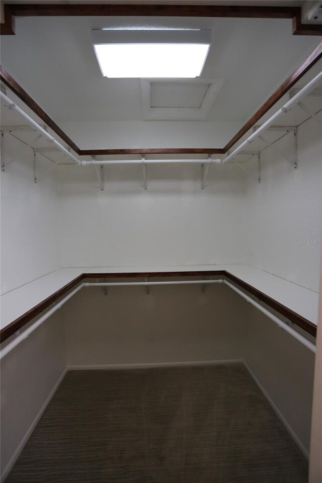 walk in closet with carpet flooring