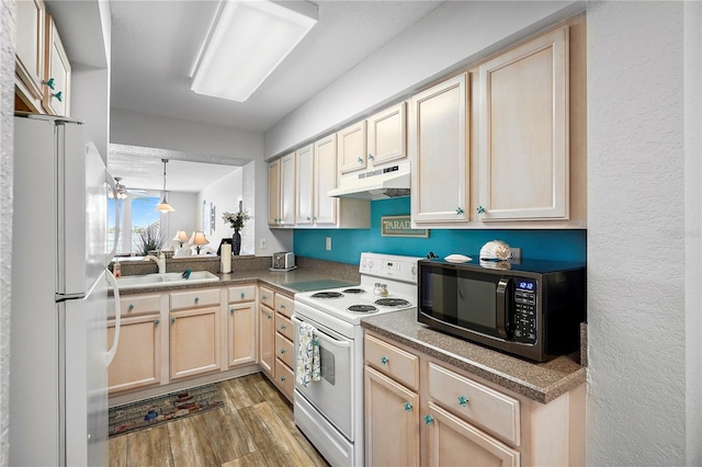 kitchen featuring sink, white appliances, light brown cabinets, and hardwood / wood-style flooring