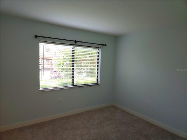 spare room featuring carpet floors