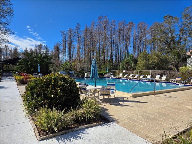 view of swimming pool featuring a patio