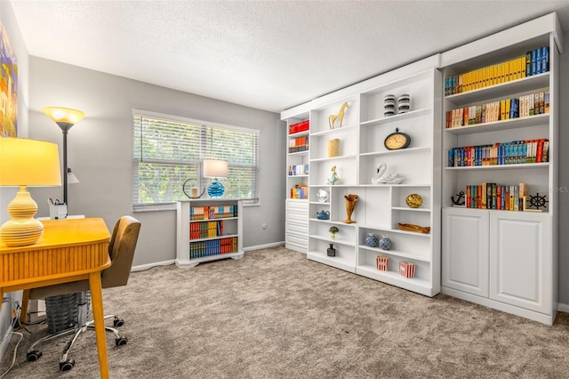 office area featuring a textured ceiling and light colored carpet