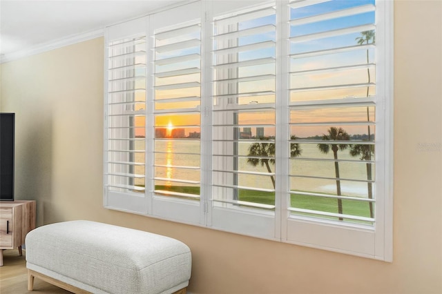 100 Oakmont Ln Unit 301, Belleair, FL 33756 - detailed view of ornamental molding